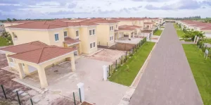 Tanzania Cabinet Project