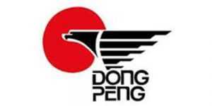 dongpeng logo