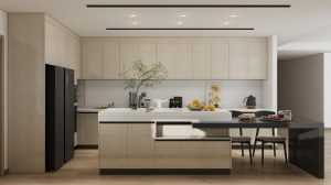 kitchen remodel