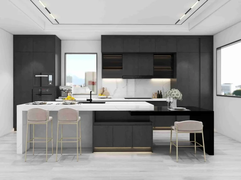 Modern Gallery Black Kitchen Cabinets with Island