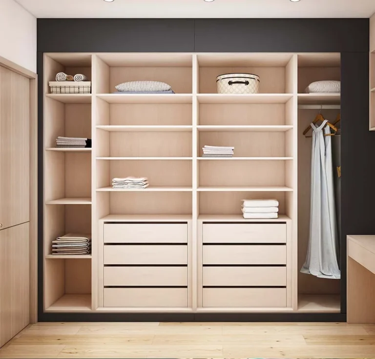 Modern U-Shaped Black Minimalist Elegance Walk In Closet