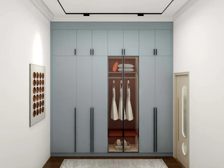 Modern Bedroom Closet Designs with Glass Display Doors