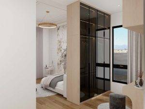 Elegant Closet Room Divider with Sleek Black Glass Doors