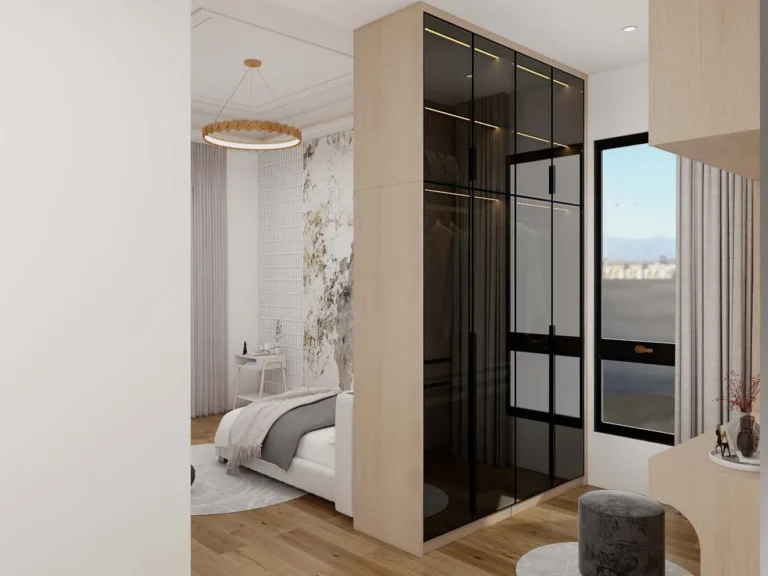 Elegant Closet Room Divider with Sleek Black Glass Doors