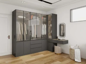 Luxurious Modern Black Closet with Glass-Front Doors