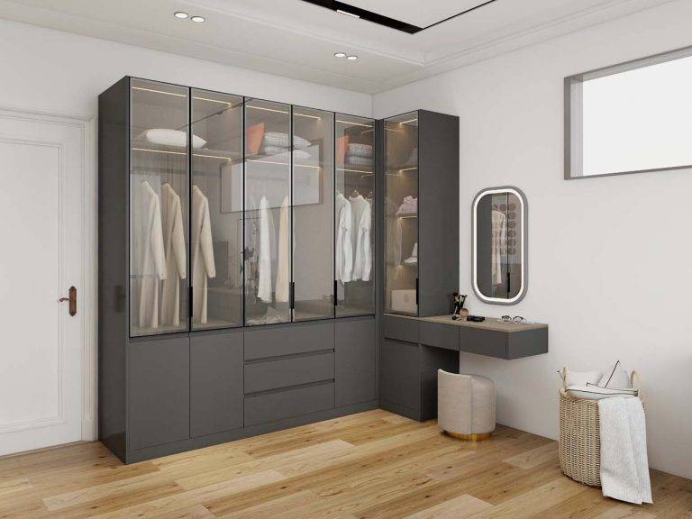 Luxurious Modern Black Closet with Glass-Front Doors