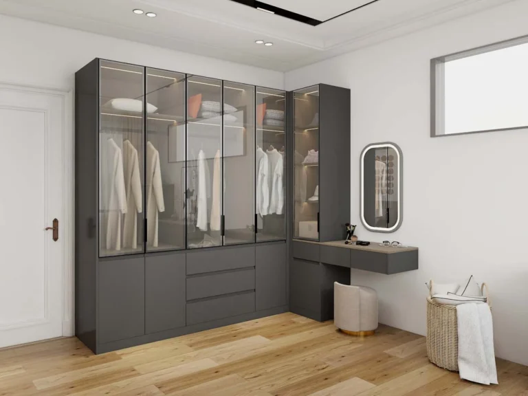 Luxurious Modern Black Closet with Glass-Front Doors