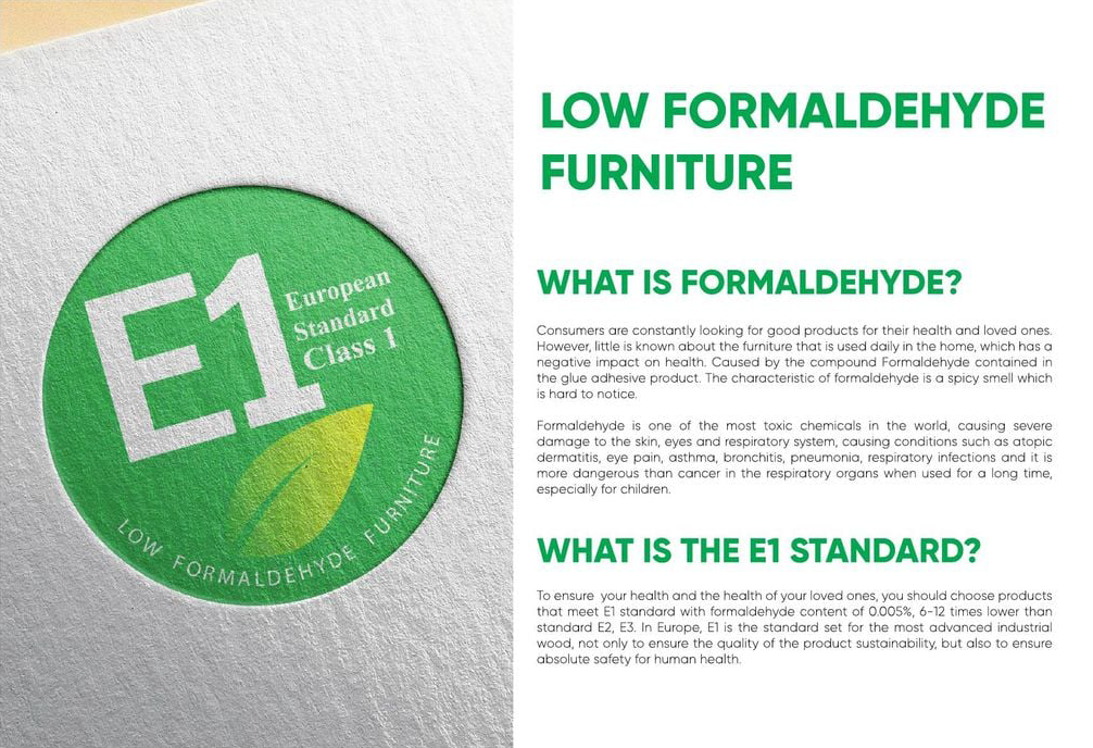 E1-European-Standard-logo