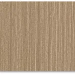 Color Y-503