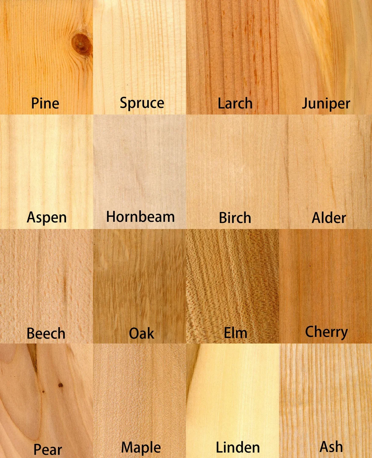 different wood samples