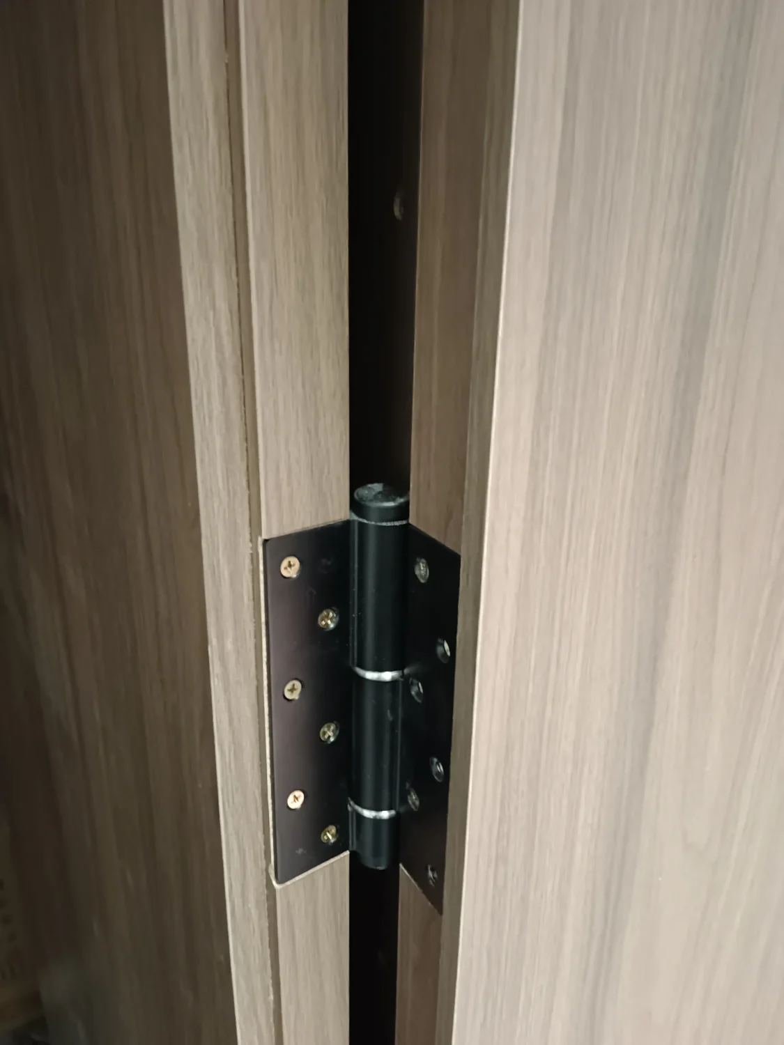 invisible-door-hinge