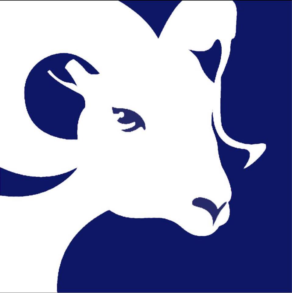 Ram Windows Doors