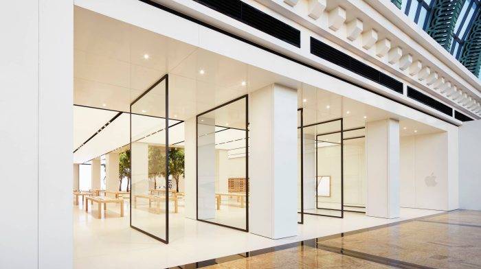 slim-framed-glass-pivot-door-design