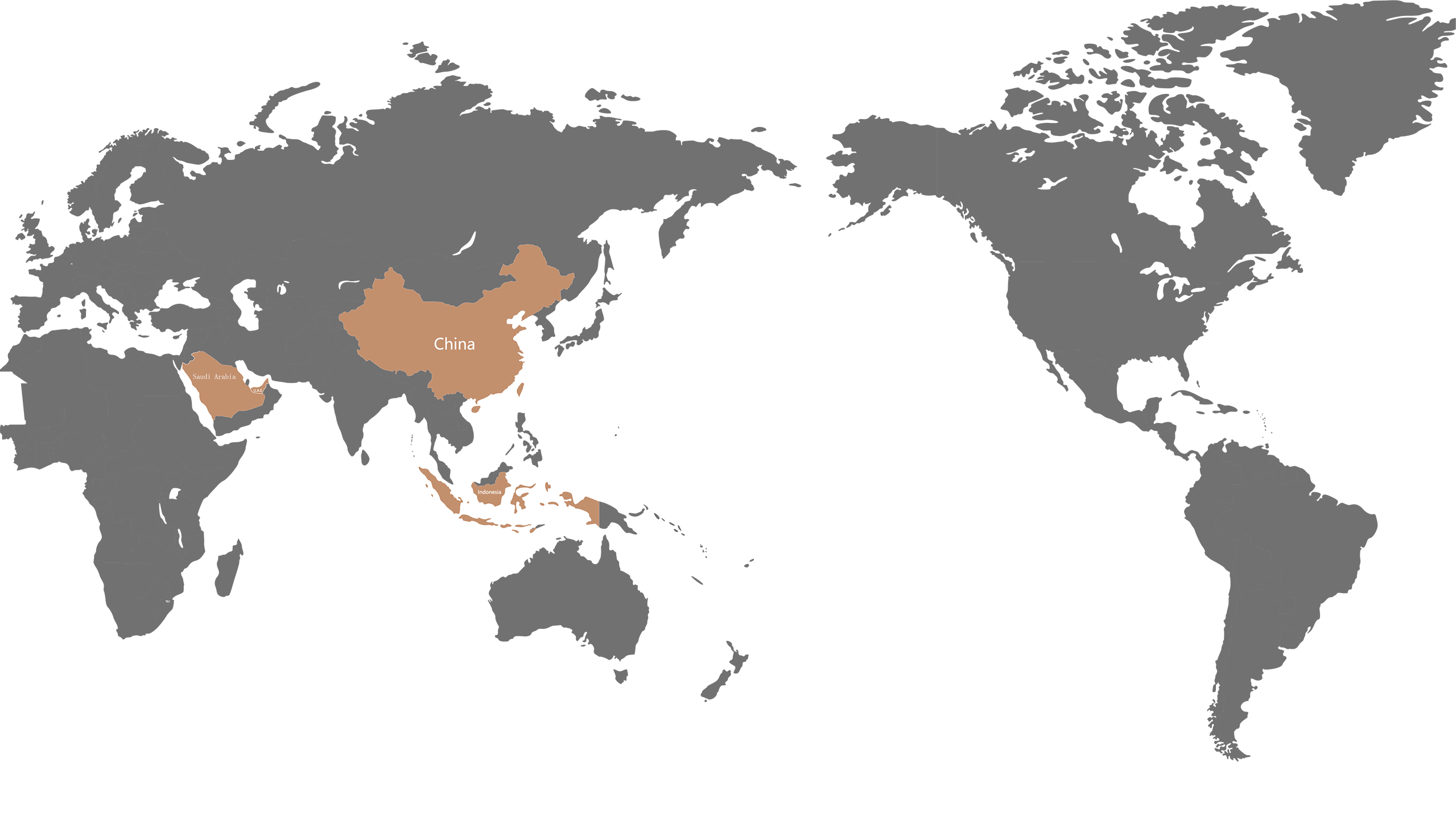 PA-Global-Presence-and-Localized-Services-Map
