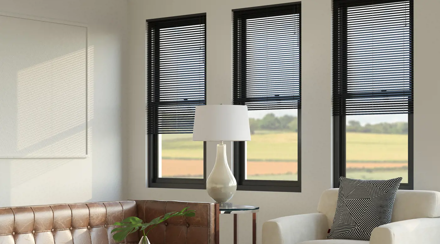 black-vinyl-windows-blinds