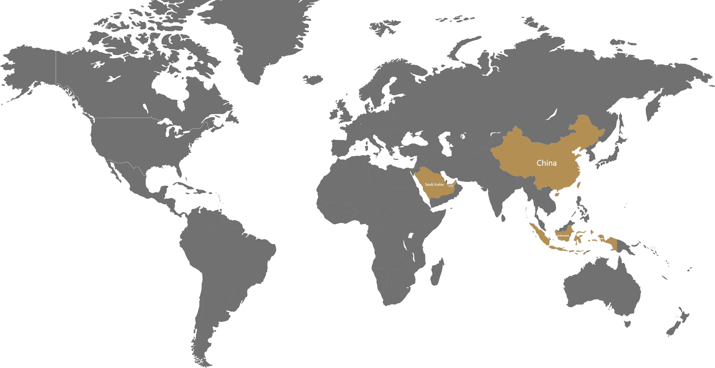 PA Home Global layout 1
