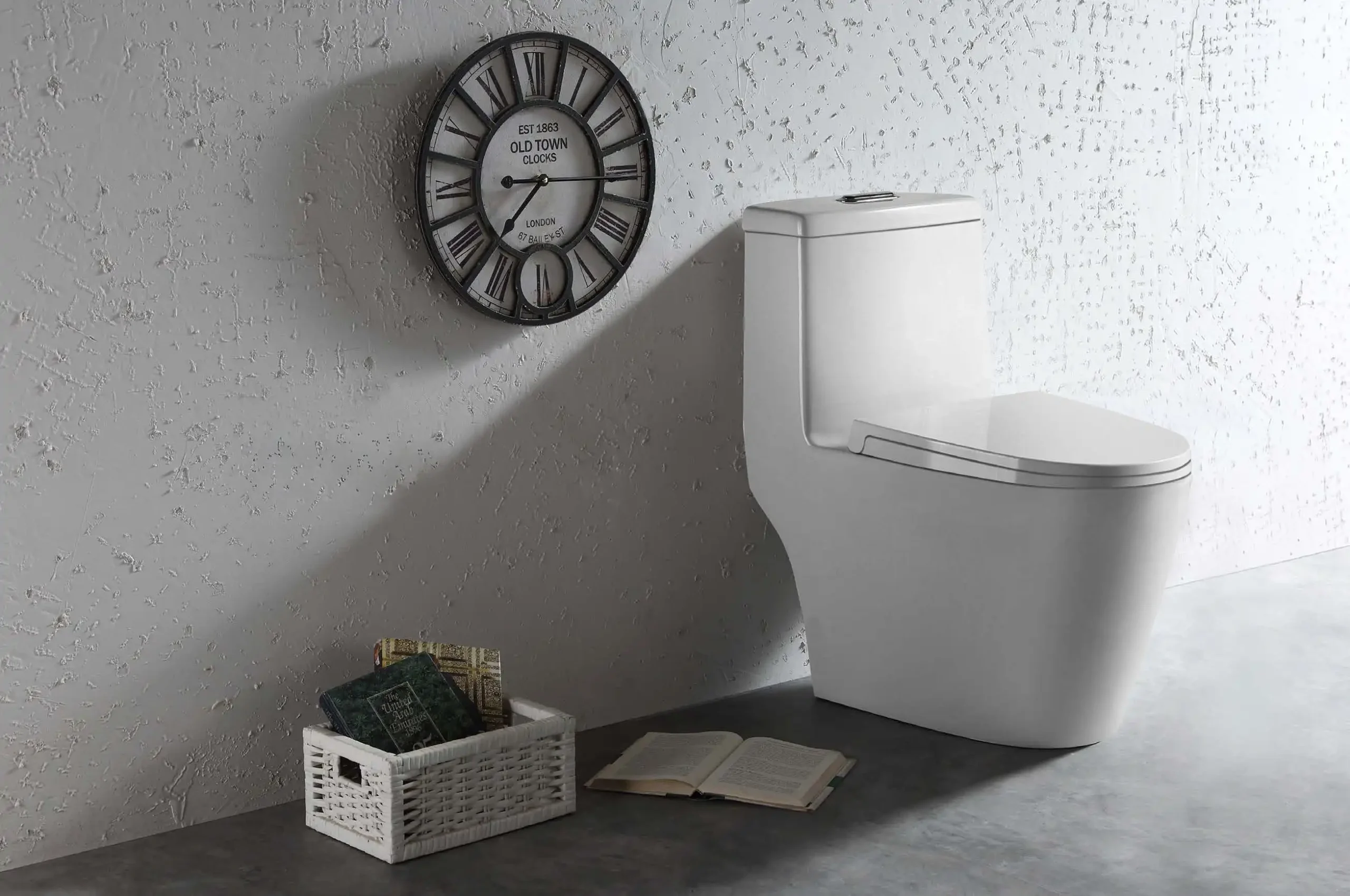 Sleek one piece toilet design with a modern look from a top sanitary ware manufacturer scaled 1